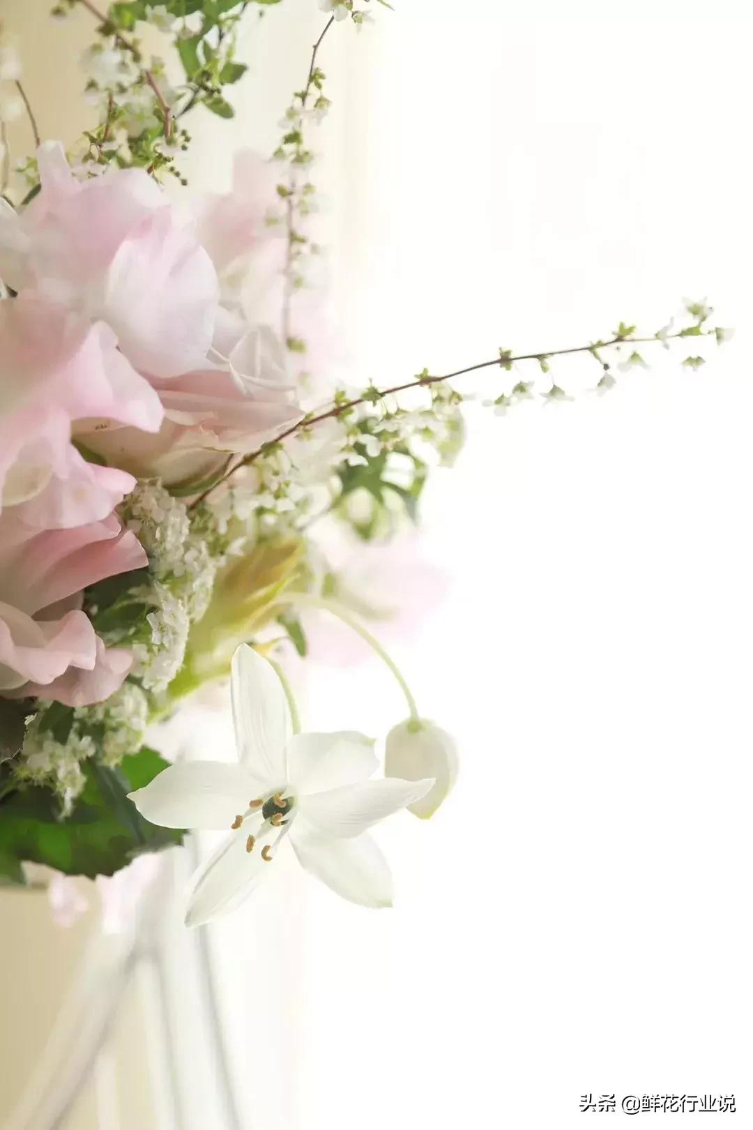 小白想开花店先从什么入手,想开一家花店先从学习开始吧