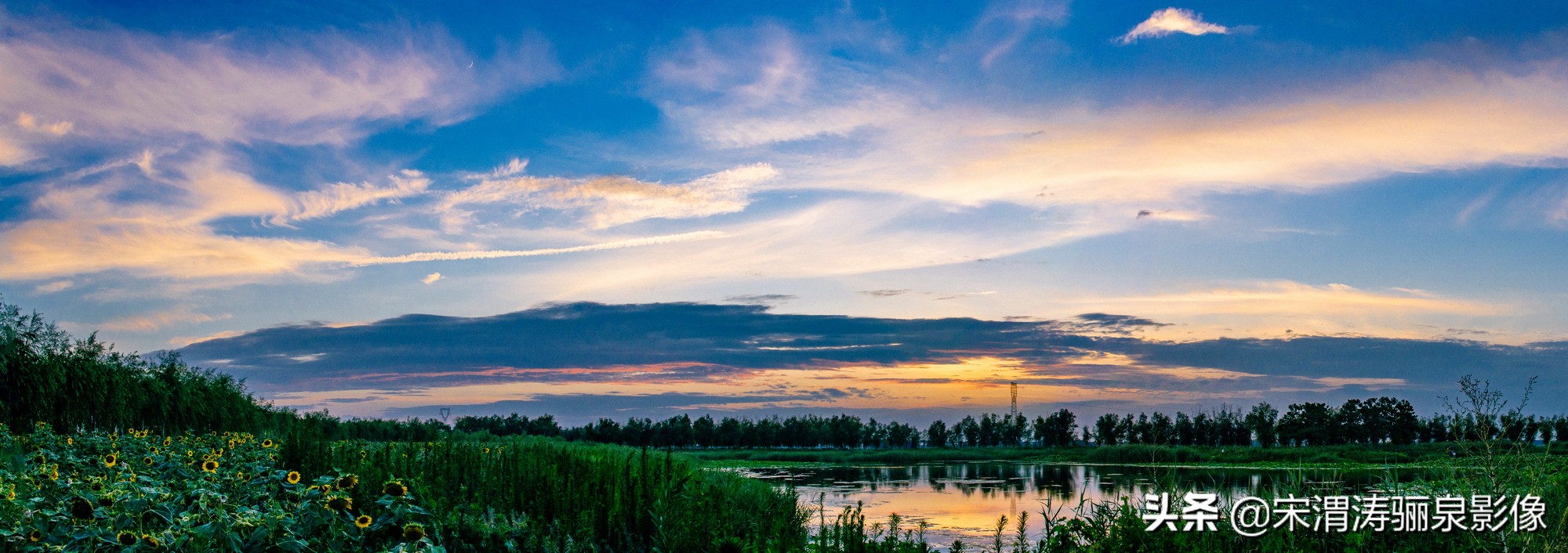 摄影家协会会员如何申请加入,如何申请成为中国摄影家协会