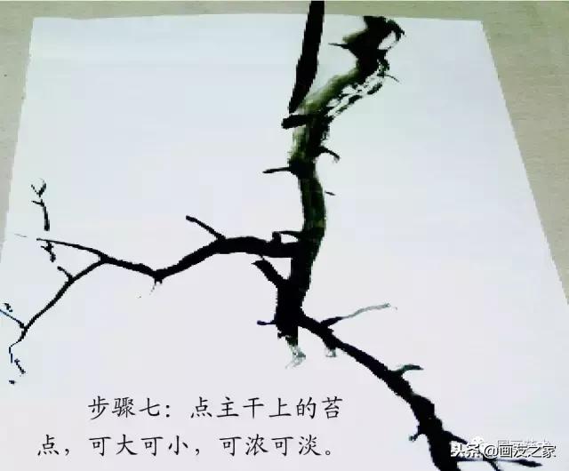 董寿平国画梅花老树干的画法,国画梅花花瓣的画法视频教程