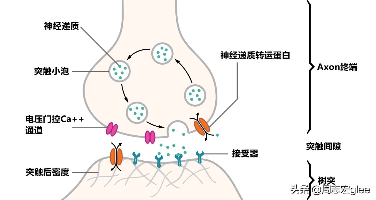 治疗蚊子咬后奇痒的药,跟蚊子咬的疙瘩一样奇痒无比