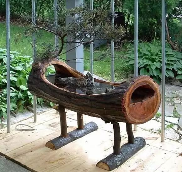 精品水旱树石盆景,什么是全旱式树石盆景