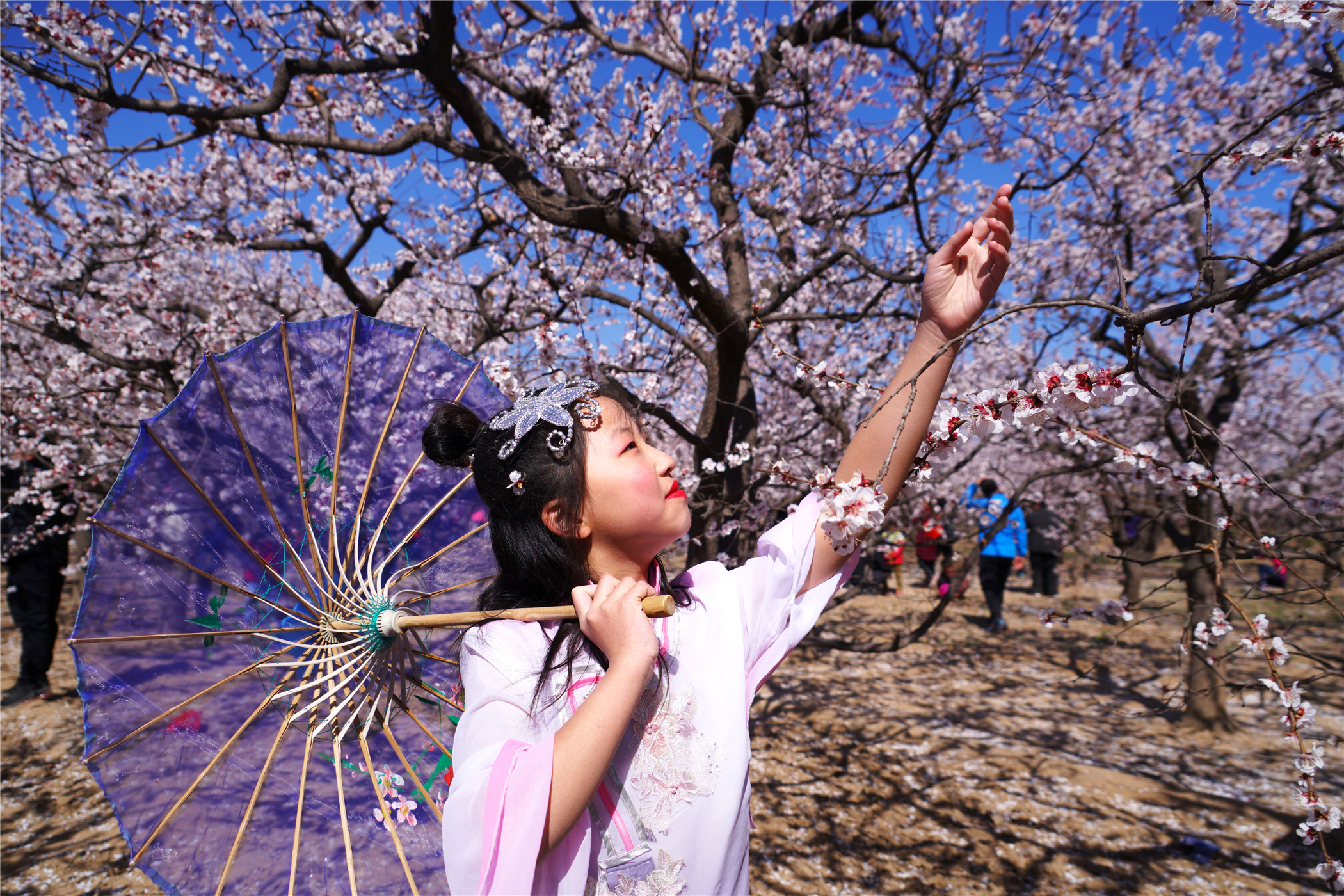 河北这座文旅小城值得一去,河北的一座小县城