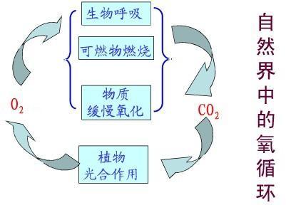 初中化学我们周围的空气,初中化学上册我们周围的空气专题