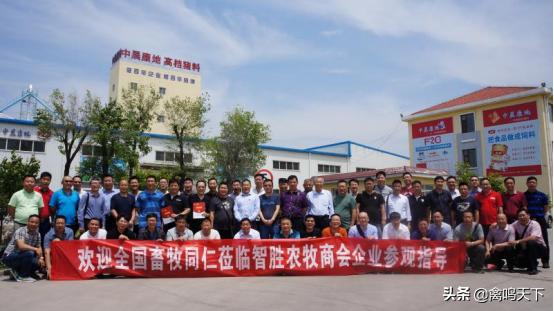 青岛中晨康地饲料股份有限公司,青岛中晨康地农牧发展