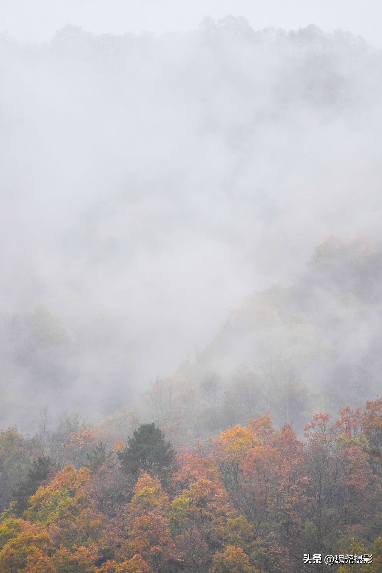 留坝秦岭之夜,留坝秦岭森林公园