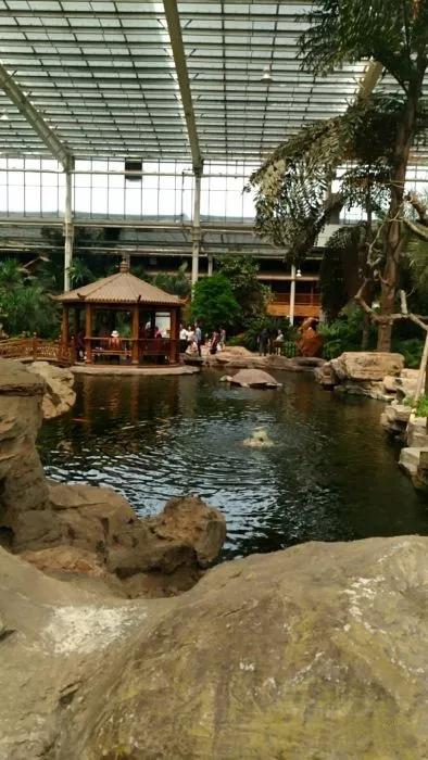 天津性价比高的洗浴中心,天津最好的温泉洗浴中心