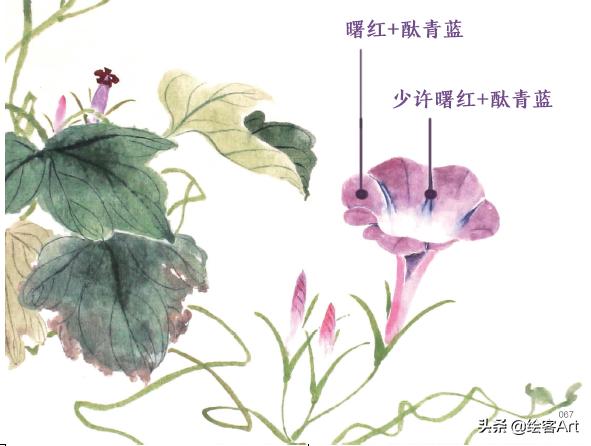 写意国画怎样配色,最好的小写意国画