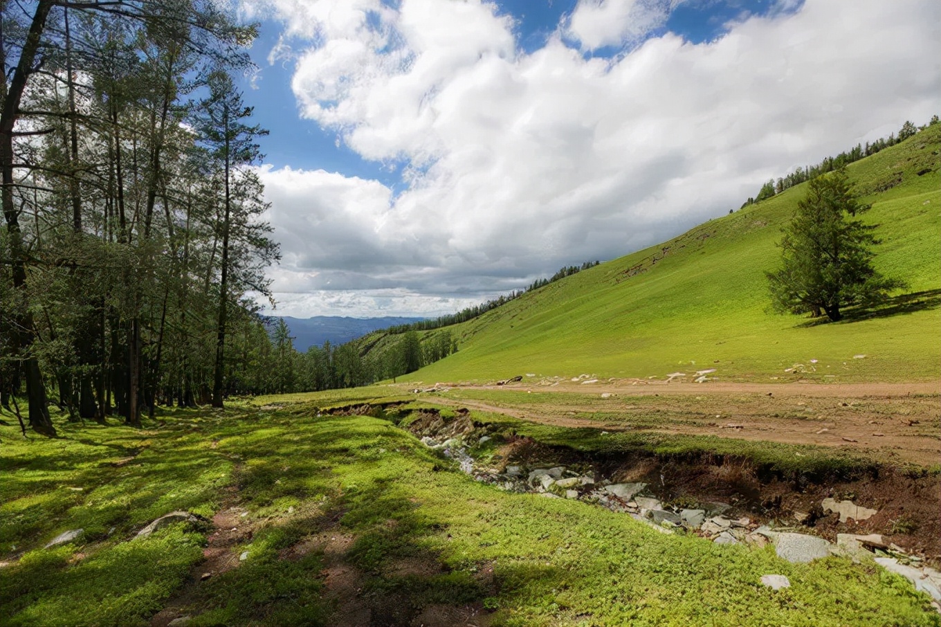 北疆四季,北疆的四季美景