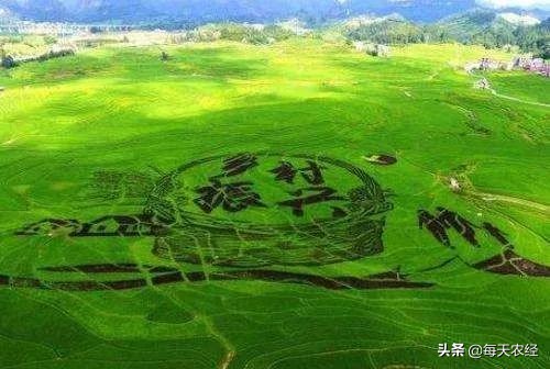 践行绿水青山就是金山银山,践行绿水青山就是金山银山的案例