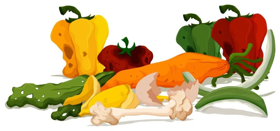 胰腺癌和肝癌患者吃什么食物好,肝癌高蛋白低脂肪的食物有哪些