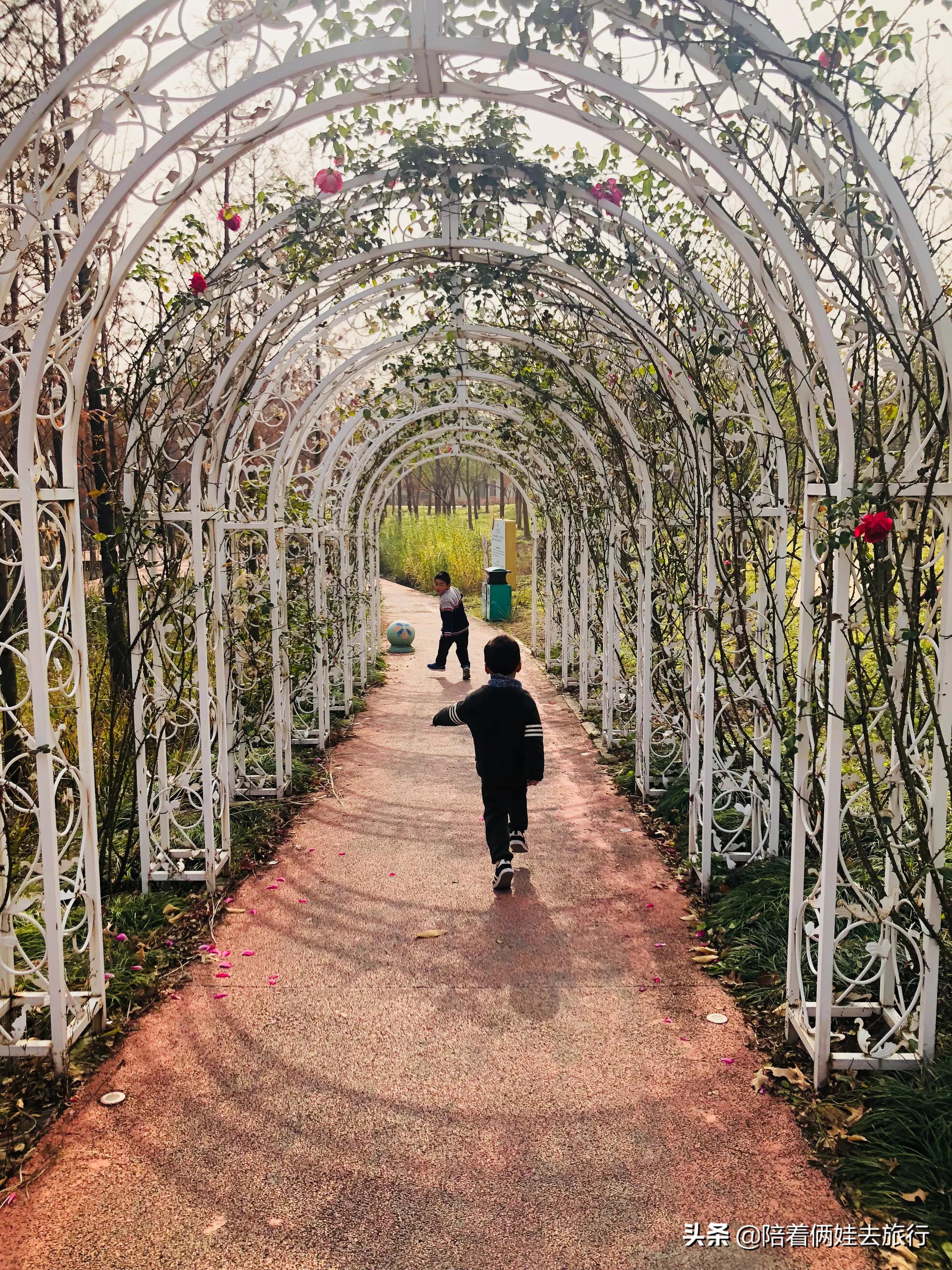 上海浦江郊野公园一日游攻略大全,上海浦江郊野公园奇迹花园地图