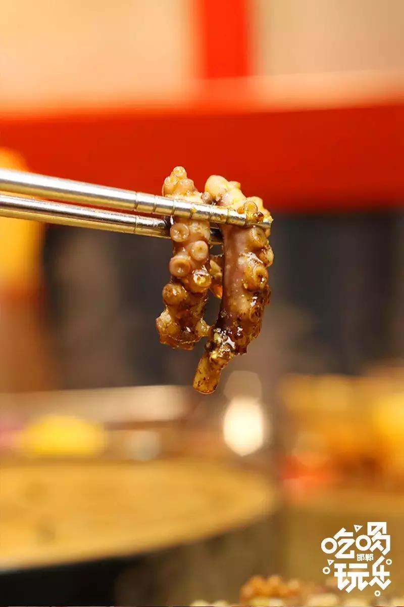 小猪小牛吃火锅,小猪小牛最新视频