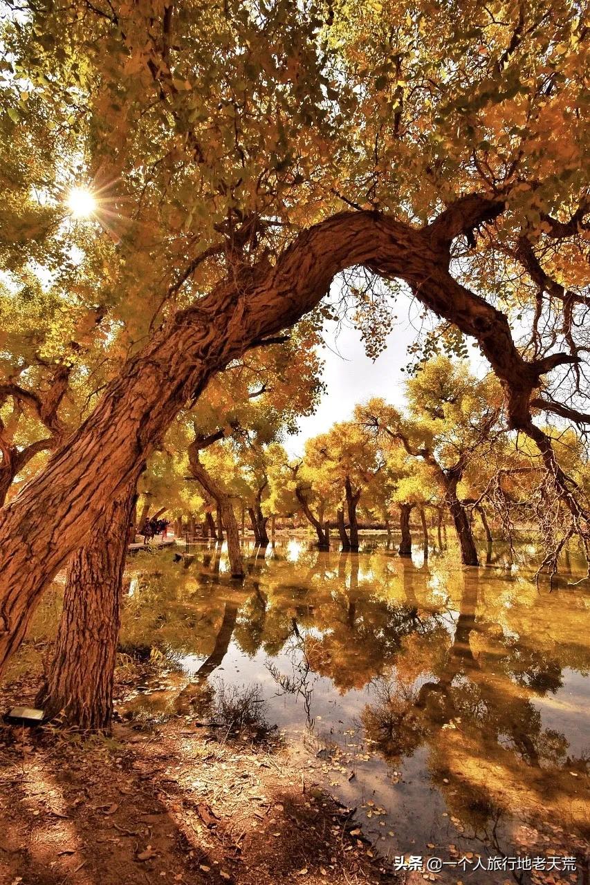 国家地理评选中国必去的50个地方,国家地理评出一生必去的30个地方