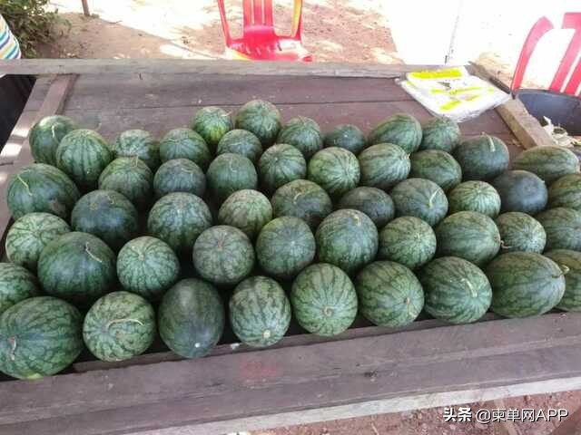 柬埔寨3万人民币能干啥,柬埔寨3000元能干什么