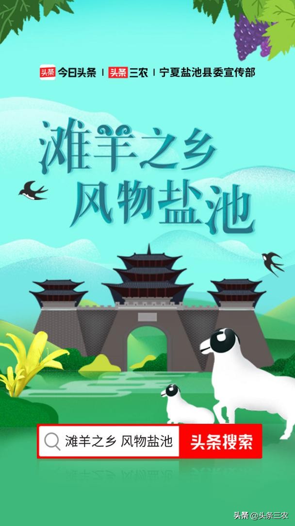 风物中华大好河山,滩羊之乡风物盐池