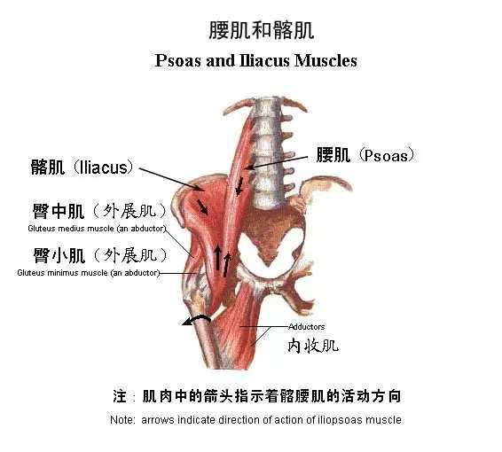 怎么改善又短又粗又不直的腿,小孩腿型矫正十种让腿变直的方法