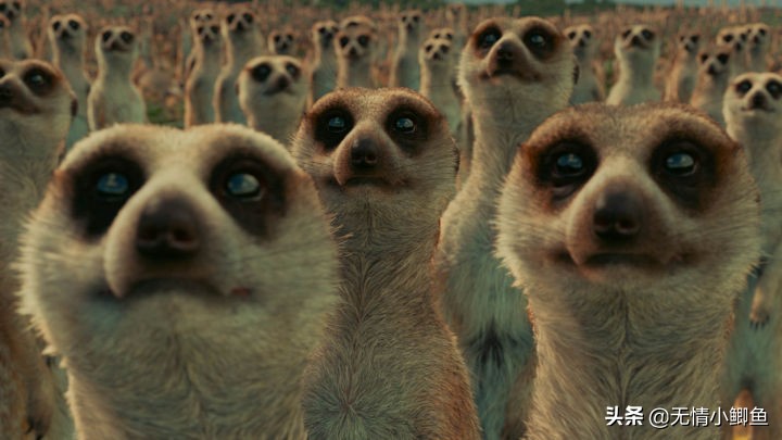 好听好记好写有意境的好名字,怎样起一个不重名的名字