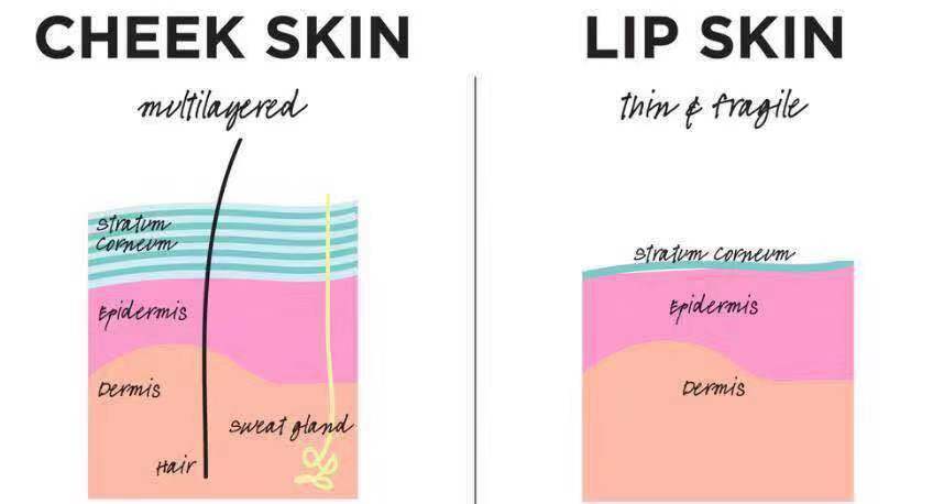 去角质*法大**到底适不适合你？