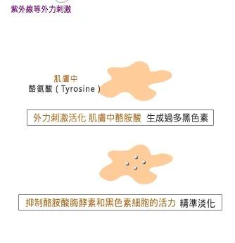 和它们相比,维C真算不上“美白神器”