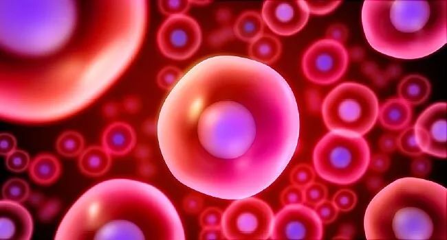 娱乐圈人生赢家,娱乐圈之人生赢家