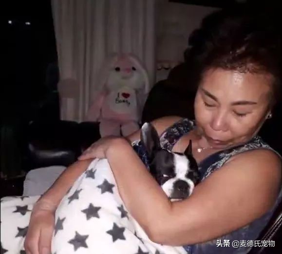 女主人这个部位天天被狗吮吸,男主人脸色铁青……