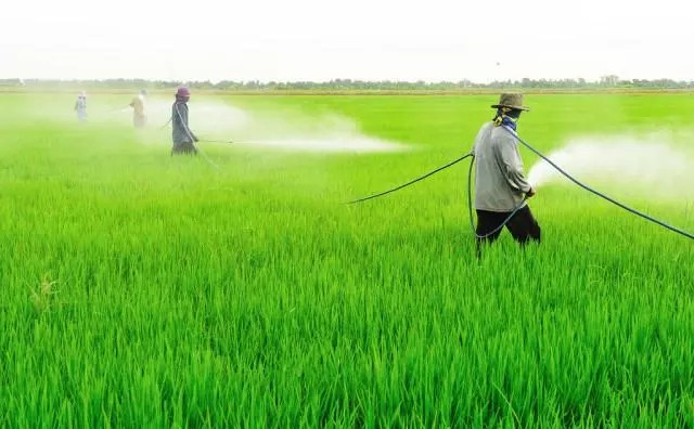 遇蛇别慌张科学防治蛇咬伤,立夏蛇出动小心被蛇咬