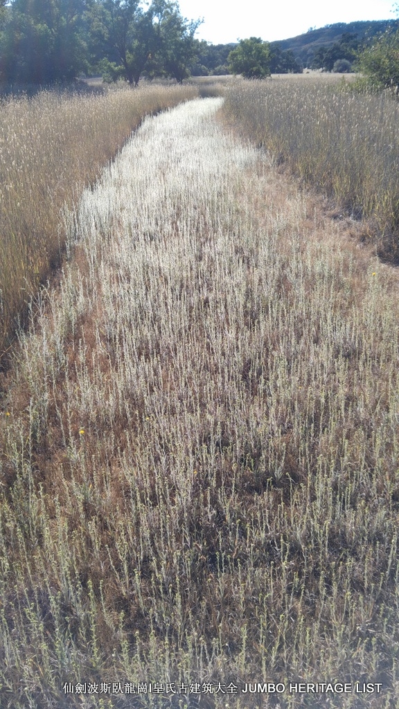 第3045回：人生一世草生一春，来如风雨去似微尘