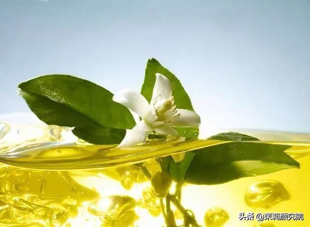 精油入门：精油是什么，有什么作用？使用时需要注意什么？