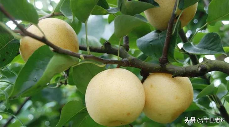 外地人眼中的城市vs真实的城市,外地人眼中的江苏vs实际上的江苏