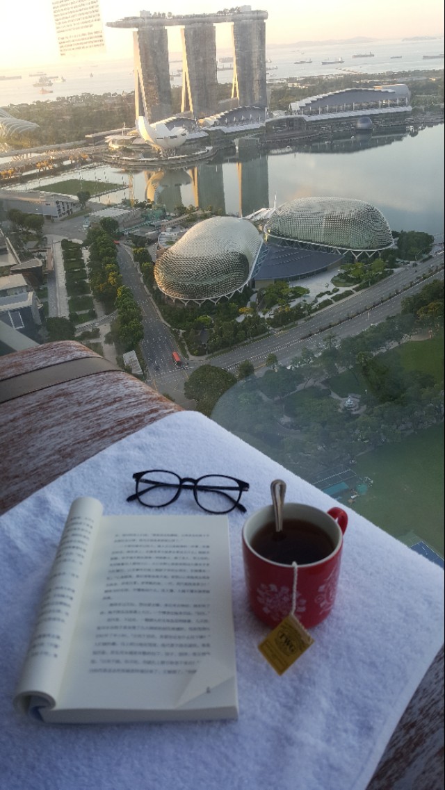 新加坡滨海湾花园风景视频,新加坡滨海湾景点