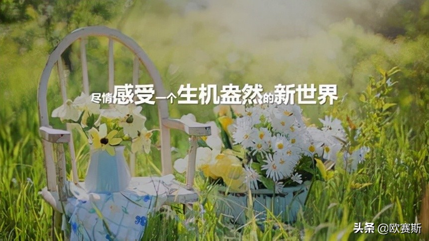 超级品牌日攻略,超级品牌日圆满结束