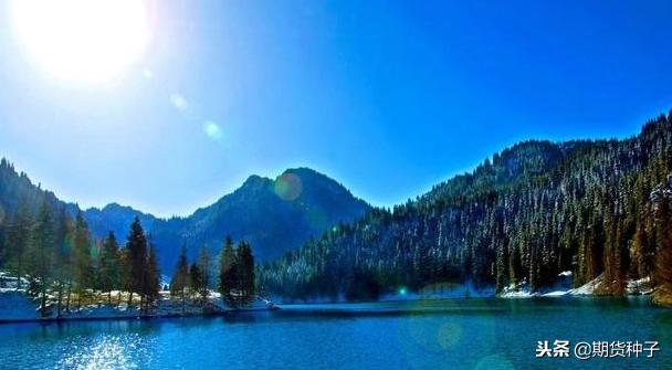 期货交易究竟是什么,期货长线交易之顿悟