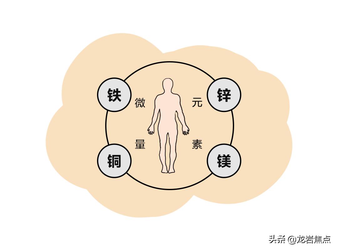 改善睡眠的微量元素,睡眠微量元素一览表