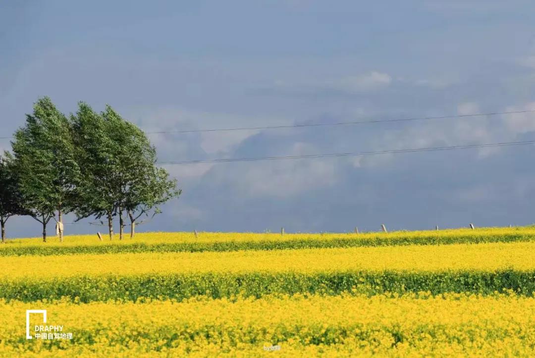 青海湖攻略2019,青海湖小环线自驾游最新攻略