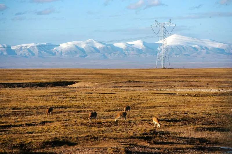 国道317进藏路上的风光,这9条进藏线路值得收藏