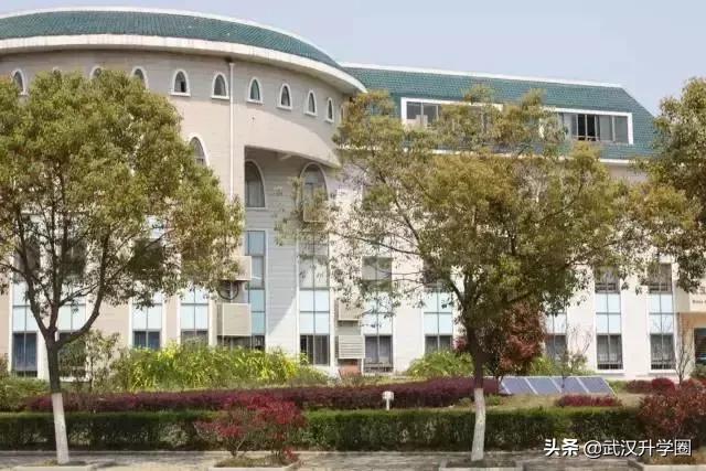 武汉比较好的中学,湖北武汉好的小学中学