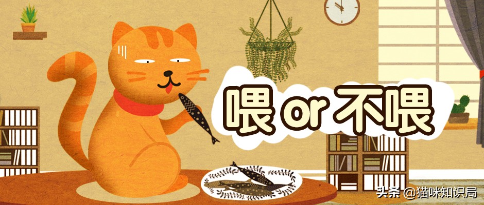 营养膏有营养吗,好吃又不贵的猫粮营养膏