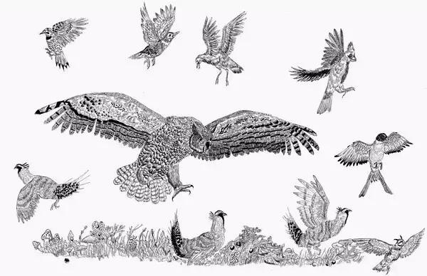 那些在纸上画画的神奇小孩,盘点那些年纪小画技超群的孩子