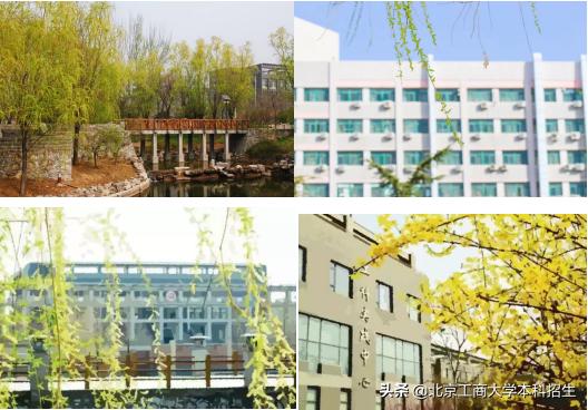 北京大学高颜值学霸,中国十大景色最美的大学