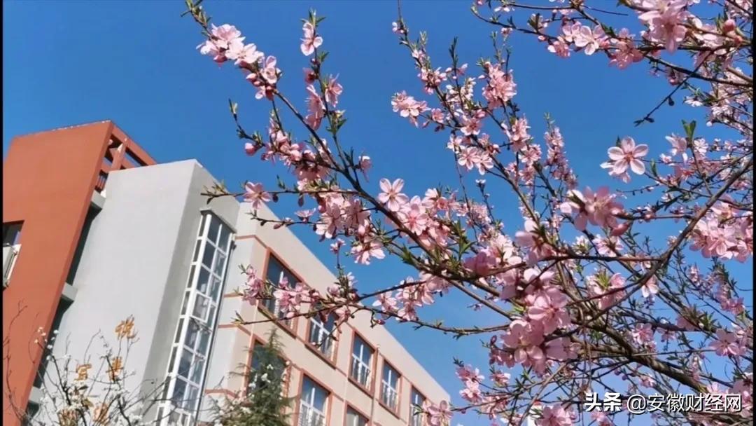 花都开好了现场完整版,花都开好了合唱合拍