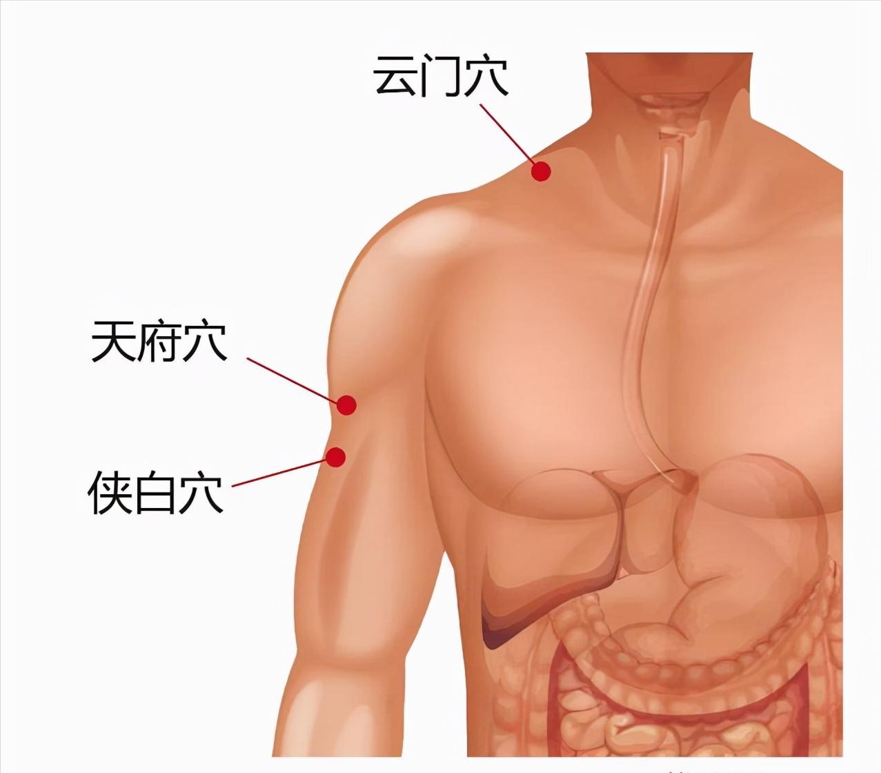 秋天怎么养肺按摩什么穴位补肺气,儿童肺气不足按摩哪个穴位最有效