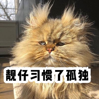 百元小众包包推荐,25-30岁小众轻奢包包品牌推荐