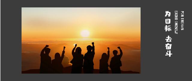 财税集团老板王艳,财税董事长王艳