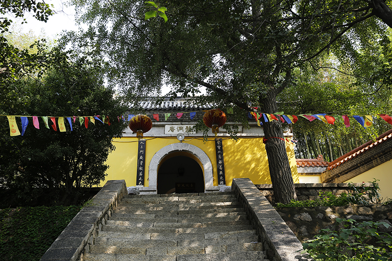 鬼斧神工织金洞,鬼斧神工的龙洞