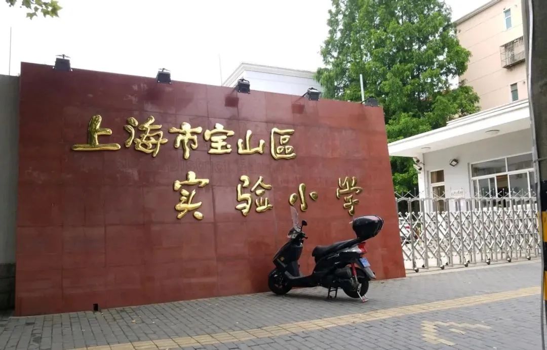 上海小学2021年梯队,上海16区小学排名一览表