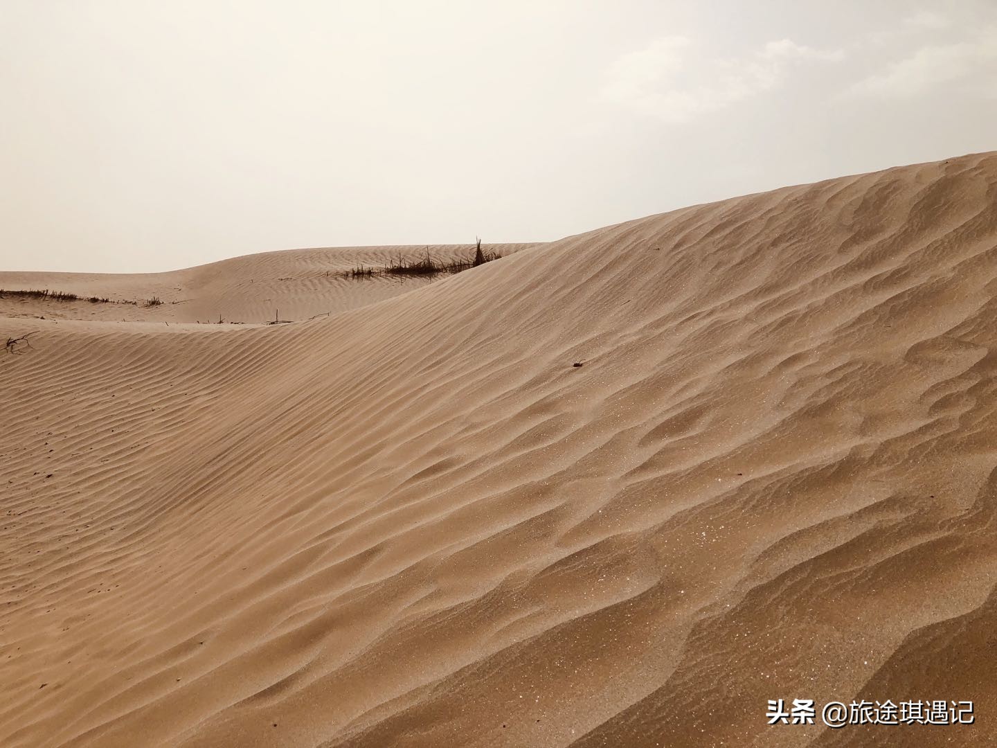 从阿拉尔到塔克拉玛干,从库尔勒去和田的最佳沙漠公路