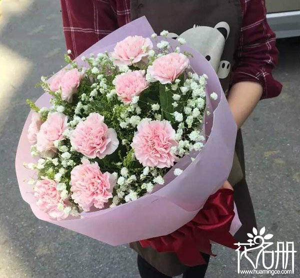 母亲节为什么要送康乃馨,母亲节为什么要送老婆礼物