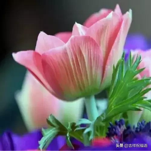 经典中的经典才是经典,经典永远堪称经典