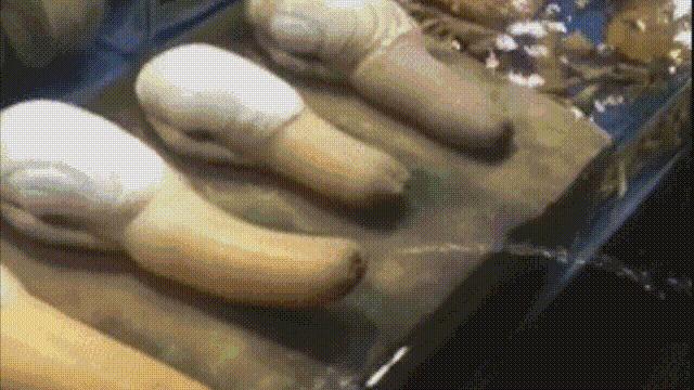 海鲜蛤蜊与蛤蜊区分,蛏子与小人蚬的区别