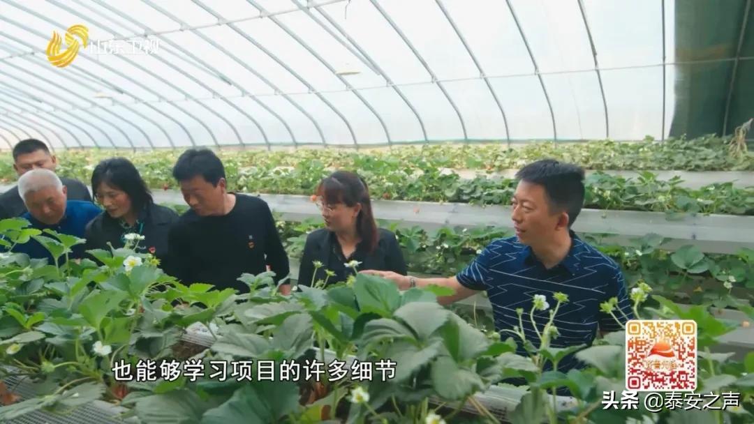 今晚18:18，山东卫视《齐鲁先锋》播出丨*安泰**：创新讲授方式让*党**课入脑入心